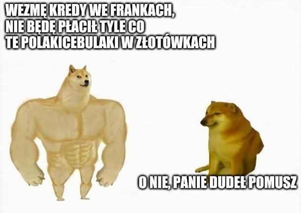 Frankowicze :D