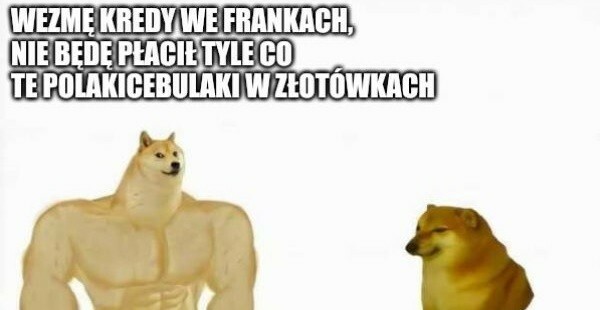 Frankowicze :D