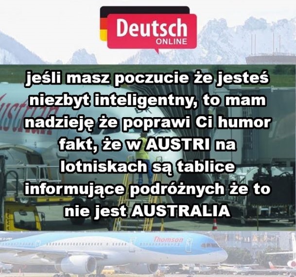 Kilka słów o inteligencji 