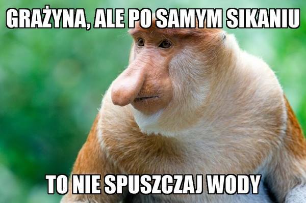 Janusz radzi :D