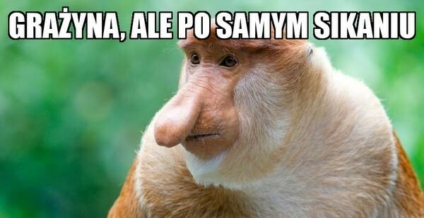 Janusz radzi :D