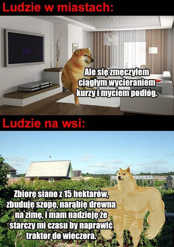 Miasto vs wieś