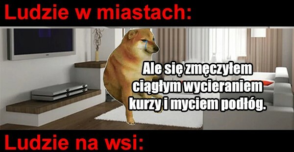 Miasto vs wieś