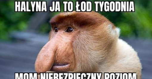 Niepokojący poziom alko :D