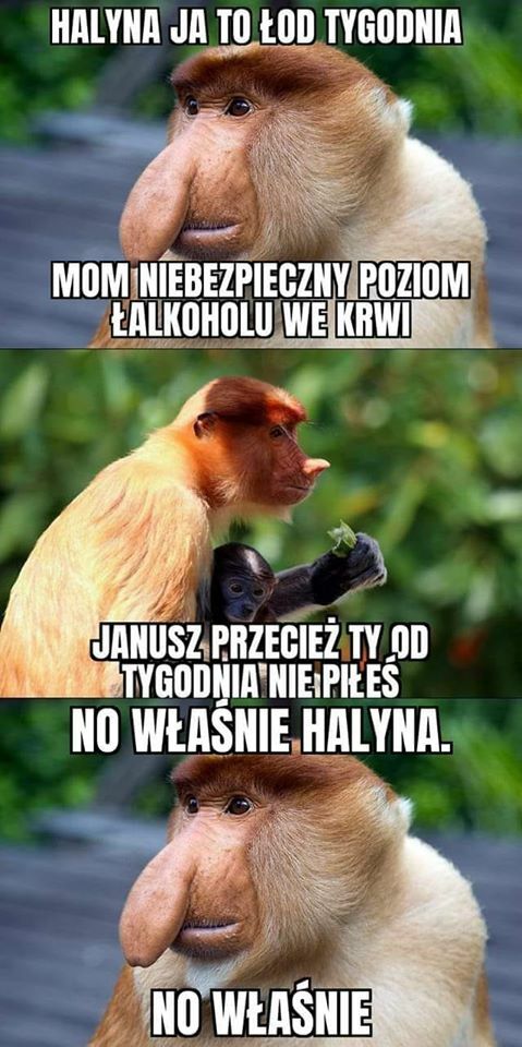 Niepokojący poziom alko :D