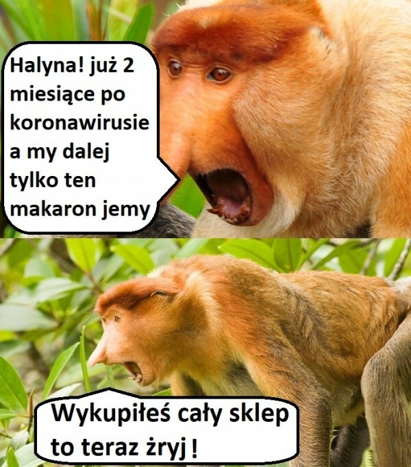 Jedzenie po pandemii :D