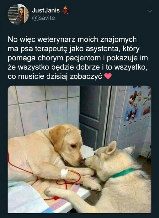 To wszystko, co musicie dziś zobaczyć :)