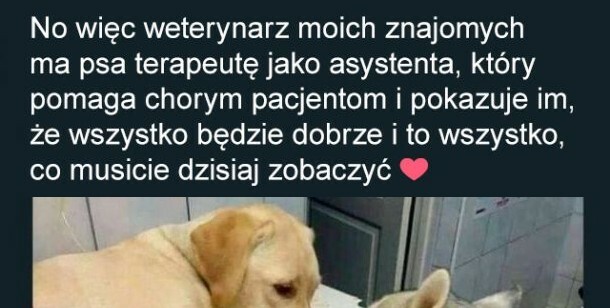 To wszystko, co musicie dziś zobaczyć :)