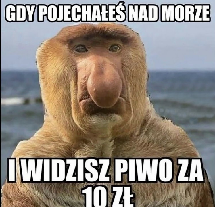 Oszaleli z tymi cenami :D