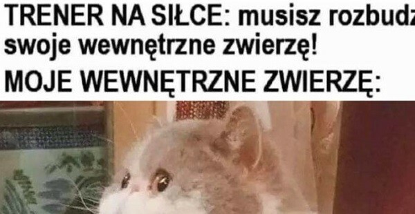 Wewnętrzne zwierzę :D