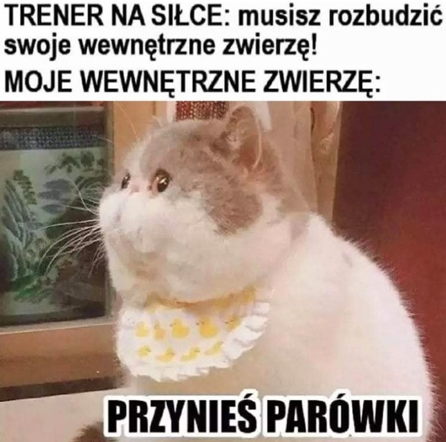 Wewnętrzne zwierzę :D