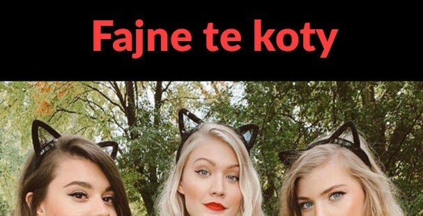 Urocze kotki :D