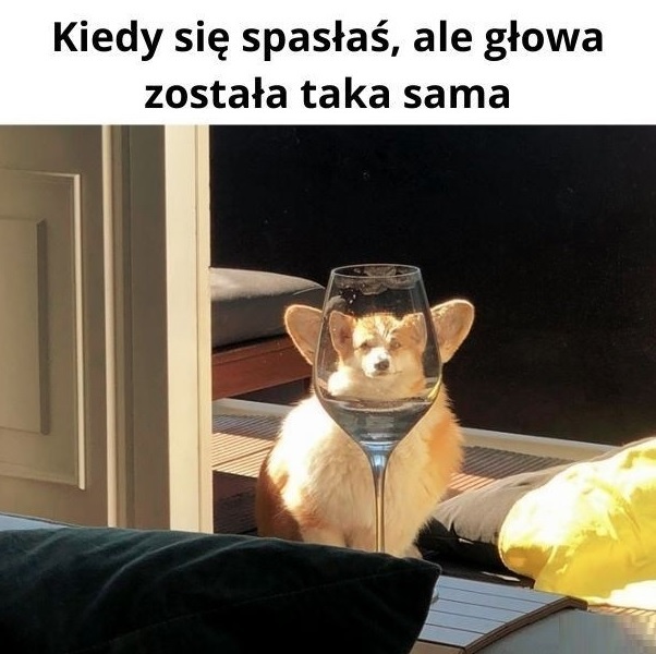 Nieproporcjonalne ciało :D