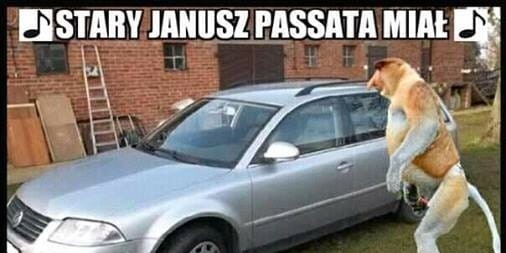 Januszowe przyśpiewki :D