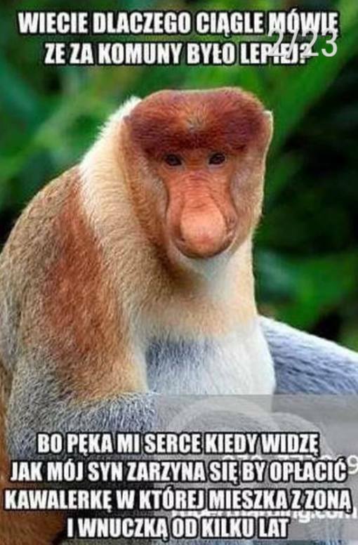 Smutny Janusz :(