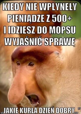 Kiedy nie wypłacą 500+