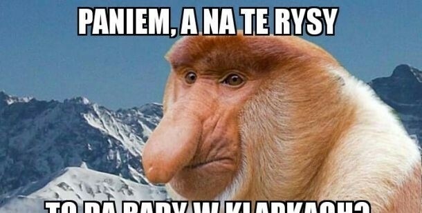 Janusz na Rysach :D