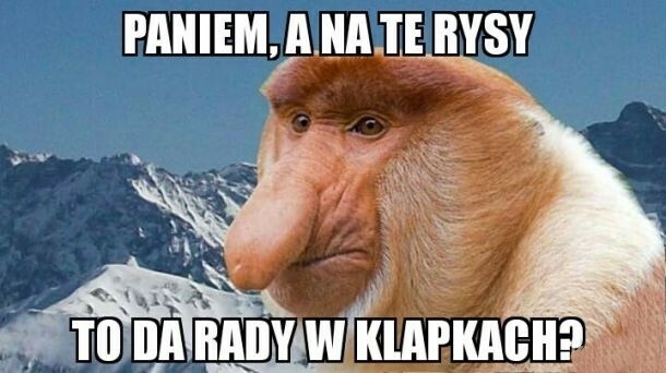 Janusz na Rysach :D