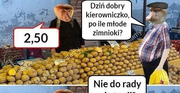 Janusz na targu :D