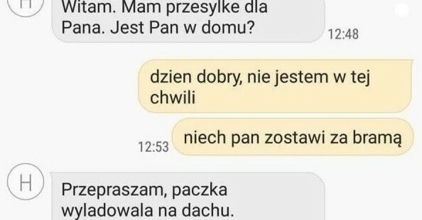 Profesjonalna dostawa :D