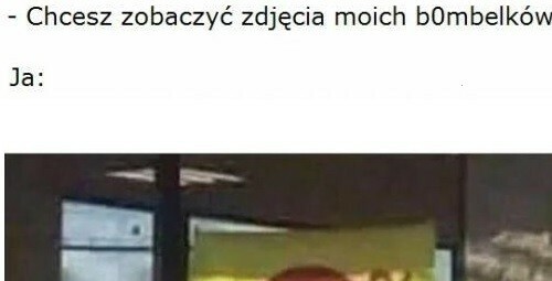 Zdjęcia 