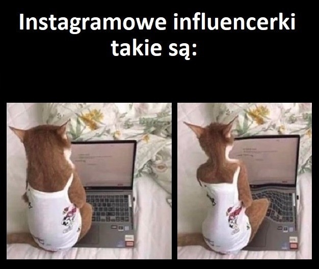 Prawda o Instagramie