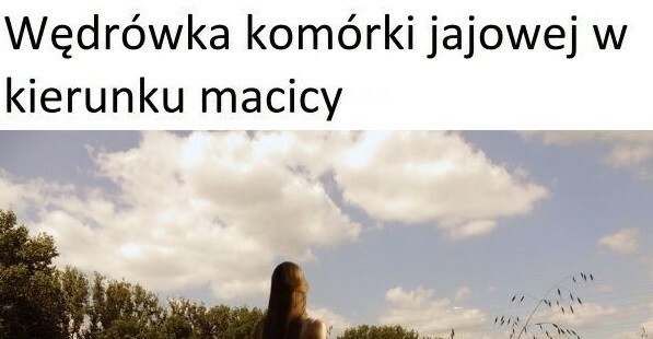 Wędrówka komórki jajowej vs wędrówka plemników :D