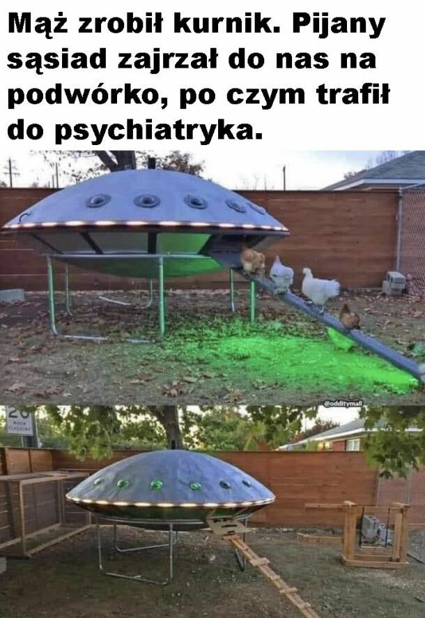 Nietypowy kurnik :D