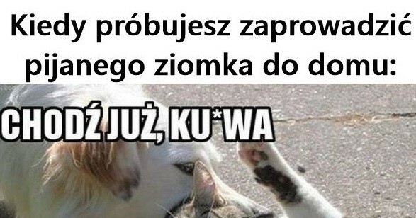 Z pijanym ziomkiem nie ma łatwo :D
