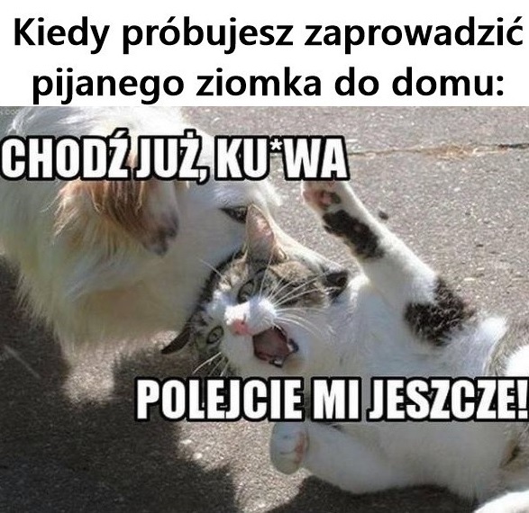 Z pijanym ziomkiem nie ma łatwo :D