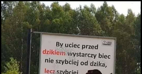 Ucieczka przed dzikiem :D 