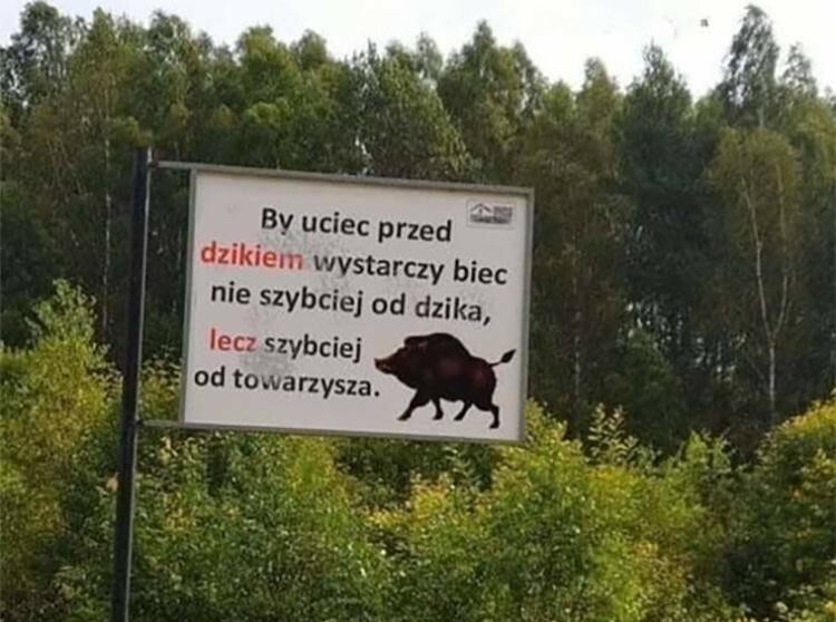 Ucieczka przed dzikiem :D 