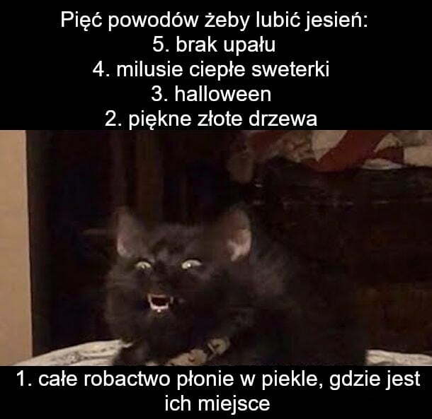 5 powodów, żeby lubić jesień :D