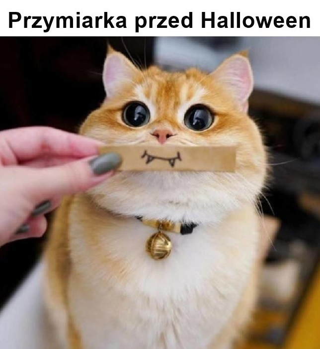 Przymiarka przed Halloween :D
