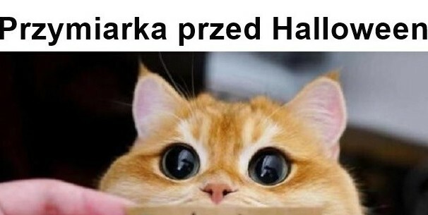 Przymiarka przed Halloween :D