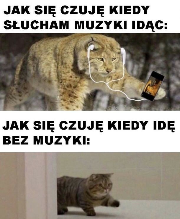 Jak się czuję, kiedy słucham muzyki idąc :D 