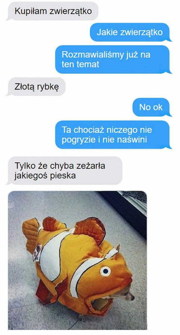 Nowe zwierzątko :D