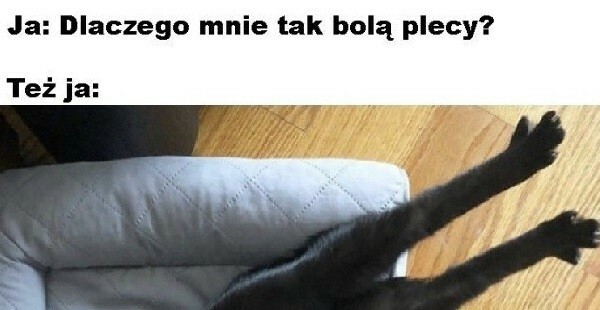 Przyczyna bolących pleców 