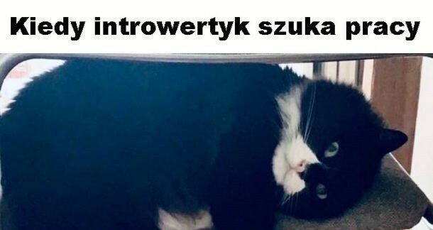 Kiedy introwertyk szuka pracy 