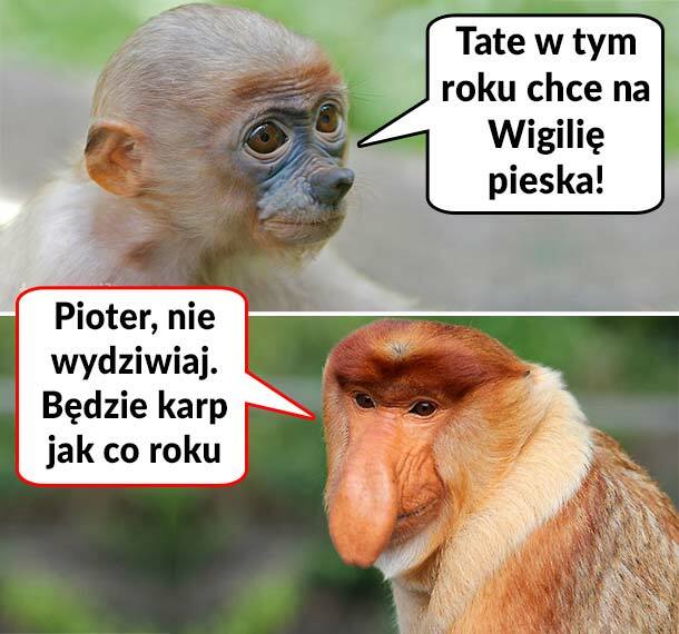 Wigilijne plany 