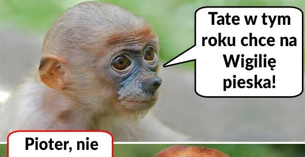 Wigilijne plany 