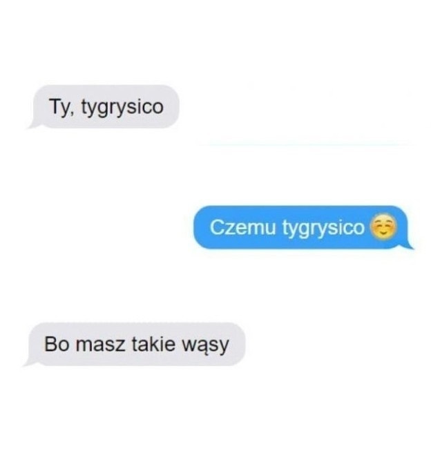 Tygrysica :D