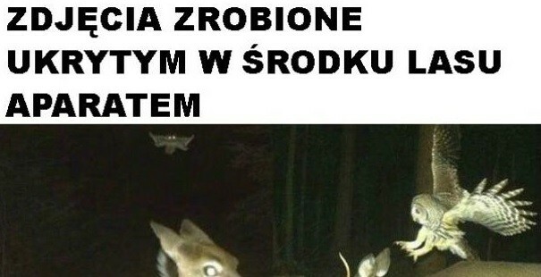 Impreza w lesie :D