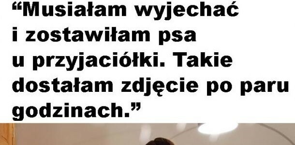 Świetne zdjęcie! :D