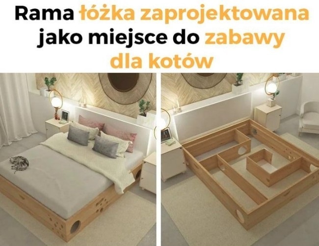 Plac zabaw dla kotów