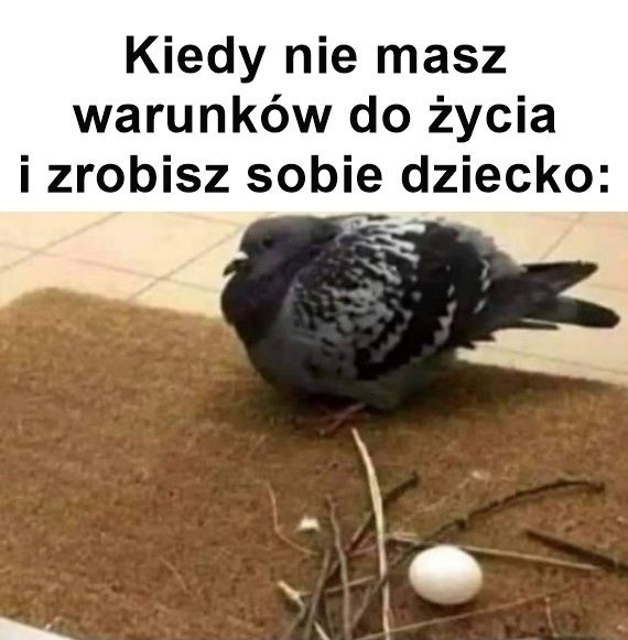 Nieodpowiedzialne powiększenie rodziny :D