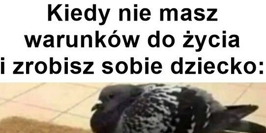 Nieodpowiedzialne powiększenie rodziny :D