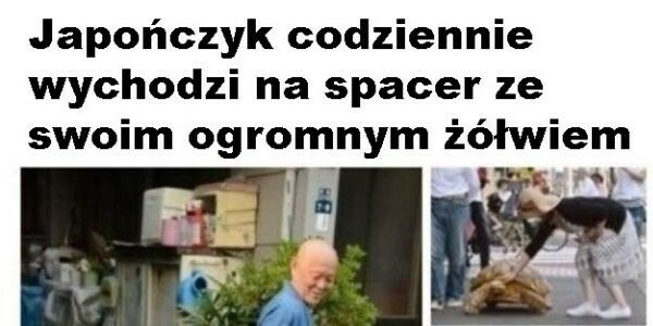 Spacer z żółwiem 