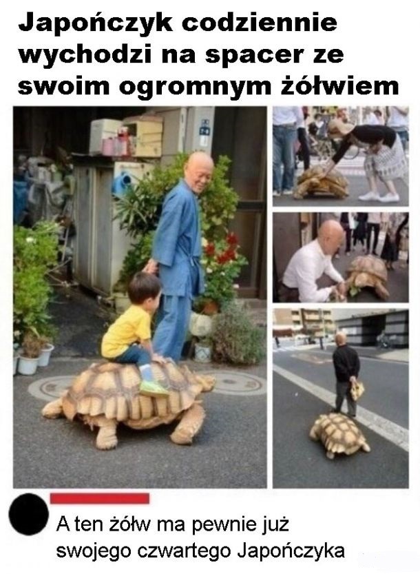 Spacer z żółwiem 