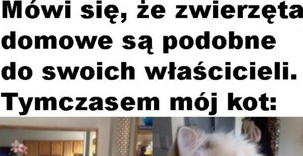Jaki właściciel, taki pupil :D